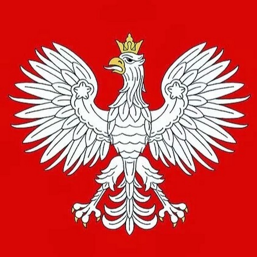 Meet your Posher, Przemek